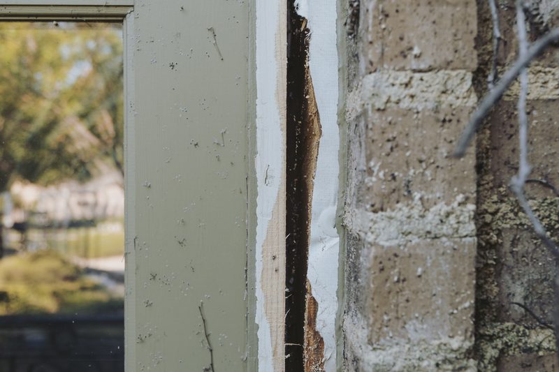 Door Rot Repair in Plano